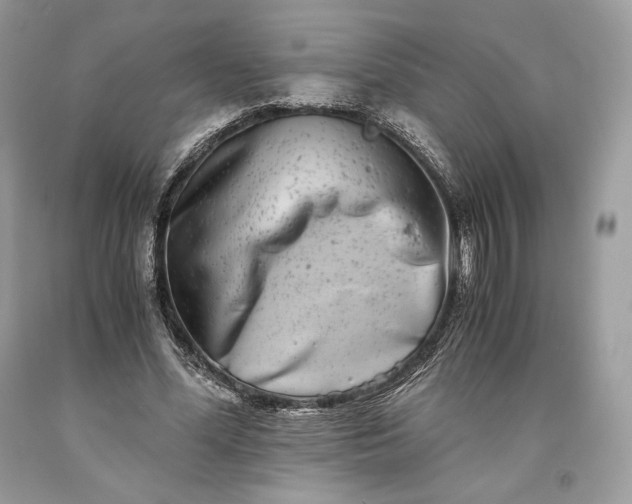 X0000093460588200710261022