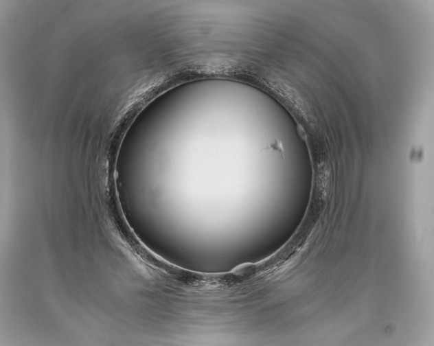 X0000093460589200710261022