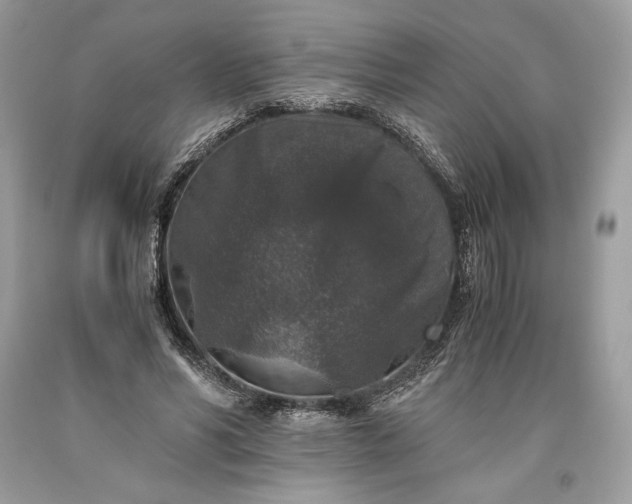 X0000093460590200710261022