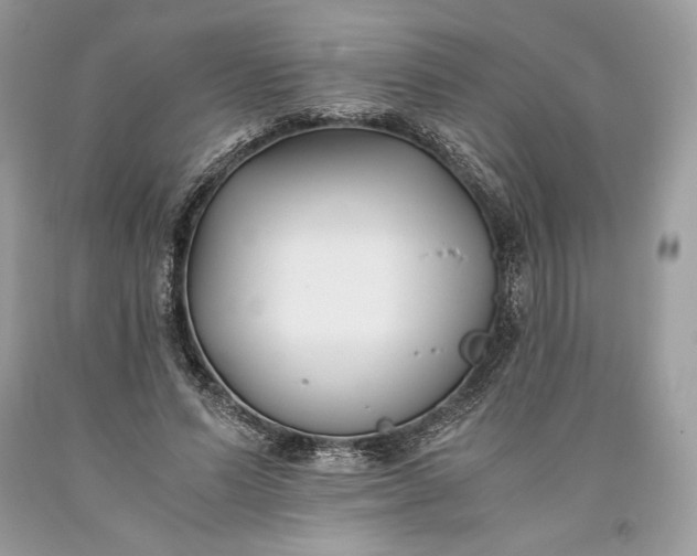 X0000093460591200710261022