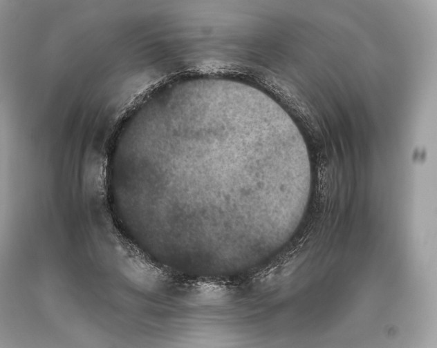 X0000093460592200710261022