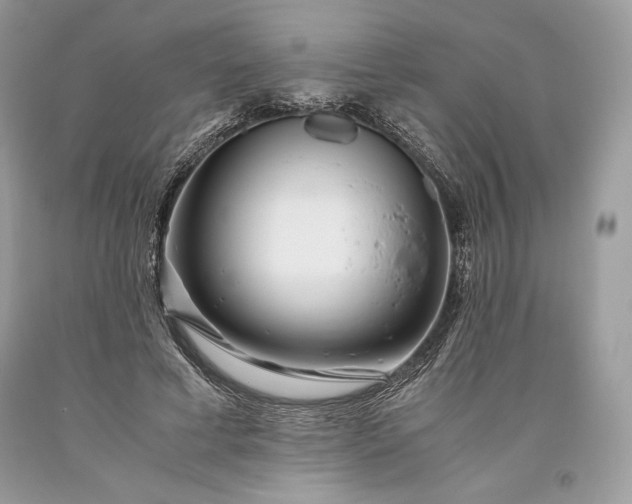 X0000093460593200710261022