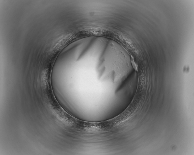 X0000093460594200710261022