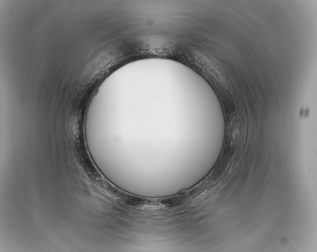 X0000093460595200710261022