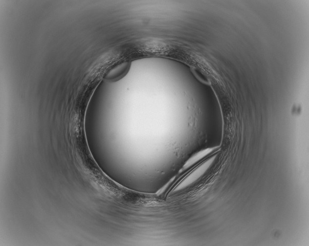 X0000093460597200710261022