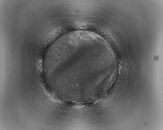 X0000093460598200710261022