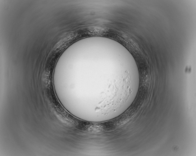 X0000093460599200710261022