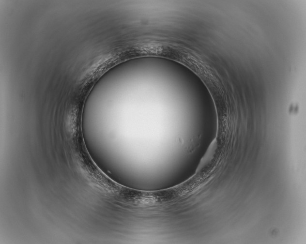 X0000093460600200710261022