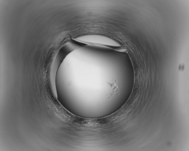 X0000093460601200710261022