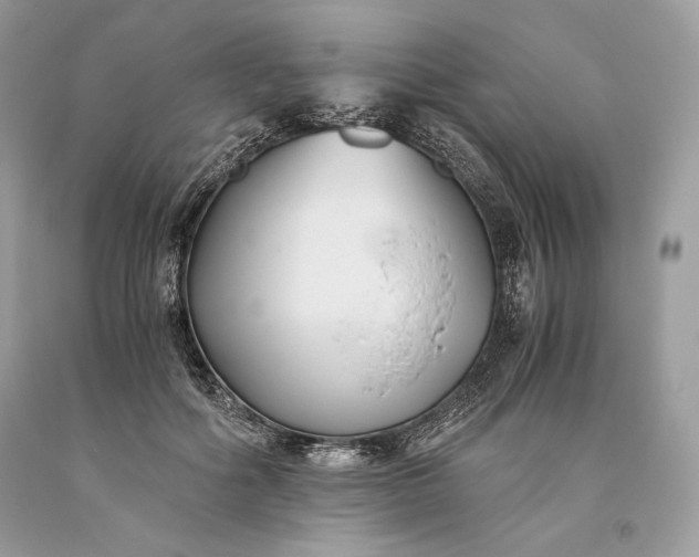 X0000093460602200710261022