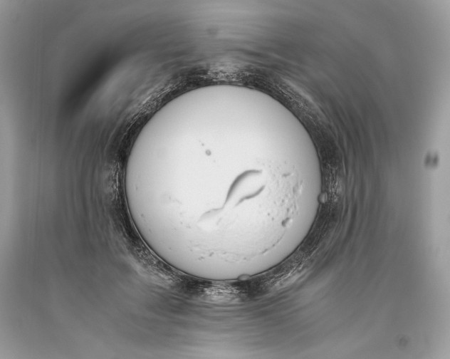 X0000093460603200710261022