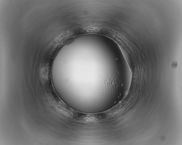 X0000093460604200710261022