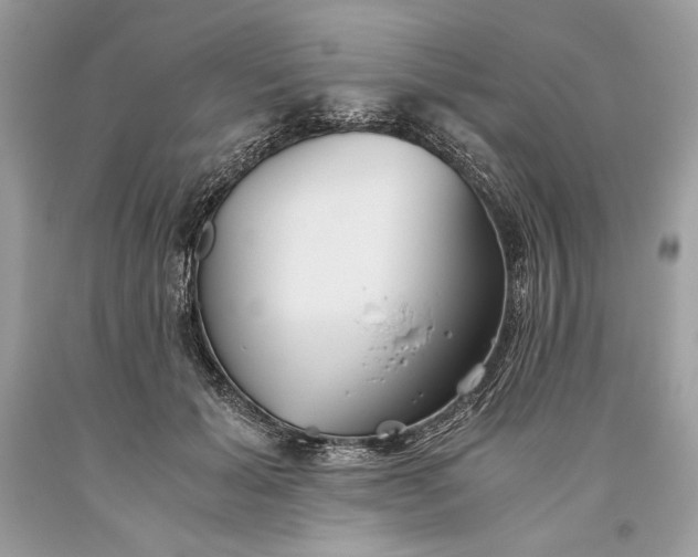 X0000093460605200710261022