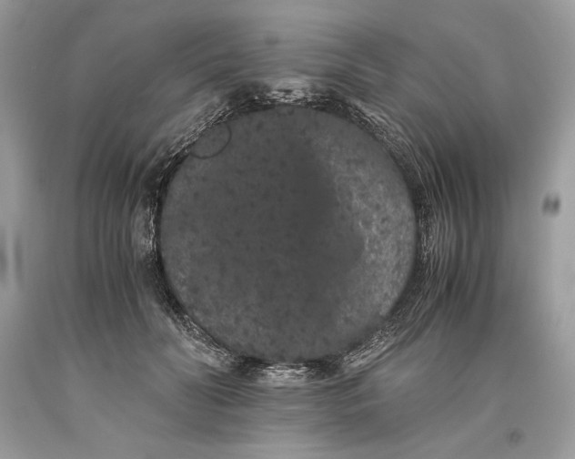 X0000093460606200710261022