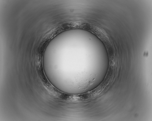 X0000093460607200710261022