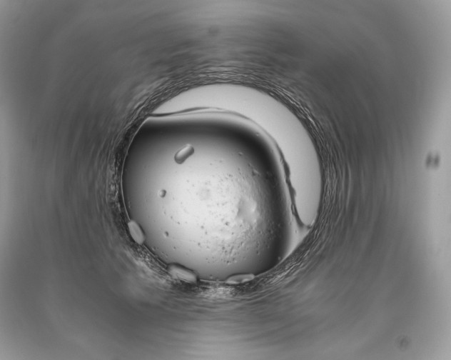 X0000093460609200710261022