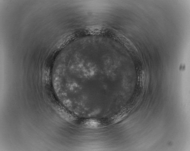 X0000093460610200710261022