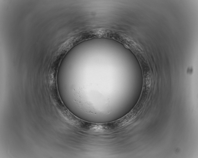 X0000093460611200710261022