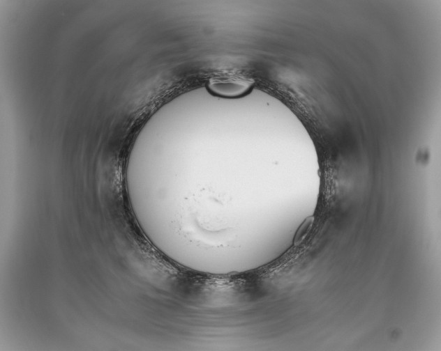 X0000093460613200710261022