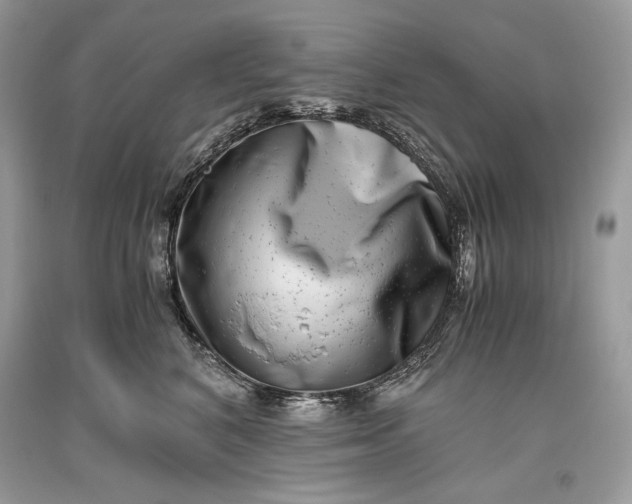 X0000093460616200710261022