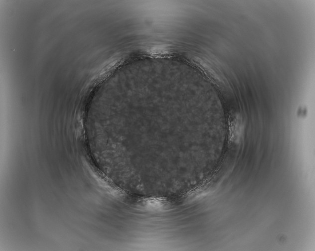 X0000093460618200710261022