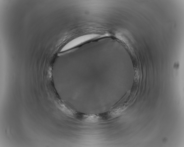 X0000093460621200710261022