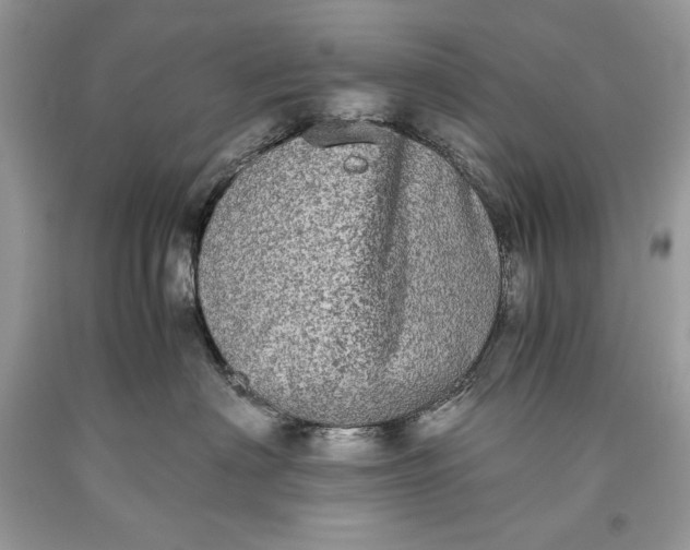 X0000093460622200710261022