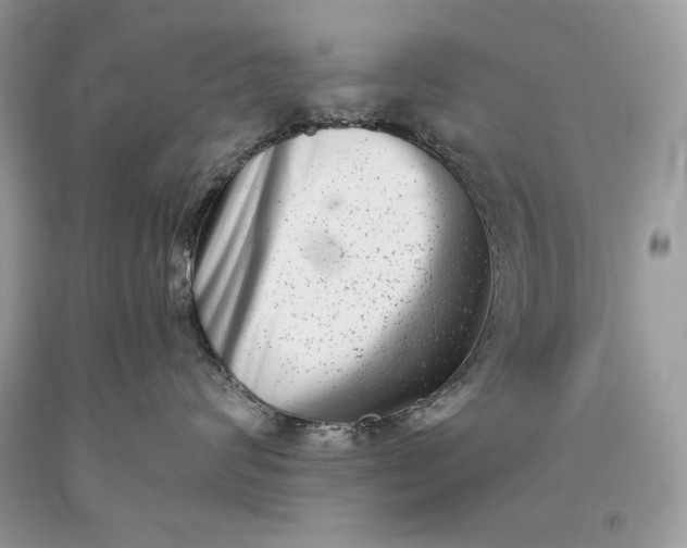 X0000093460624200710261022