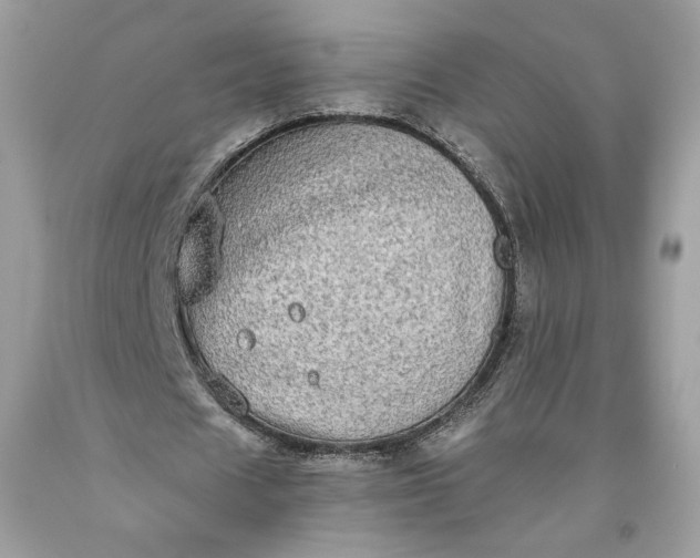 X0000093460625200710261021