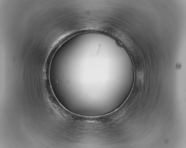 X0000093460628200710261021