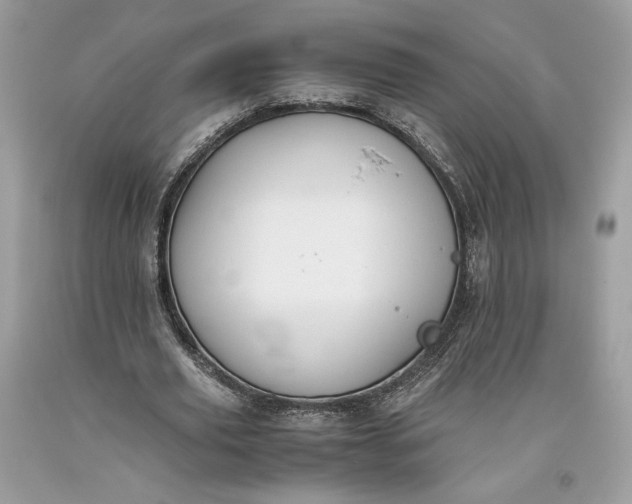 X0000093460629200710261021