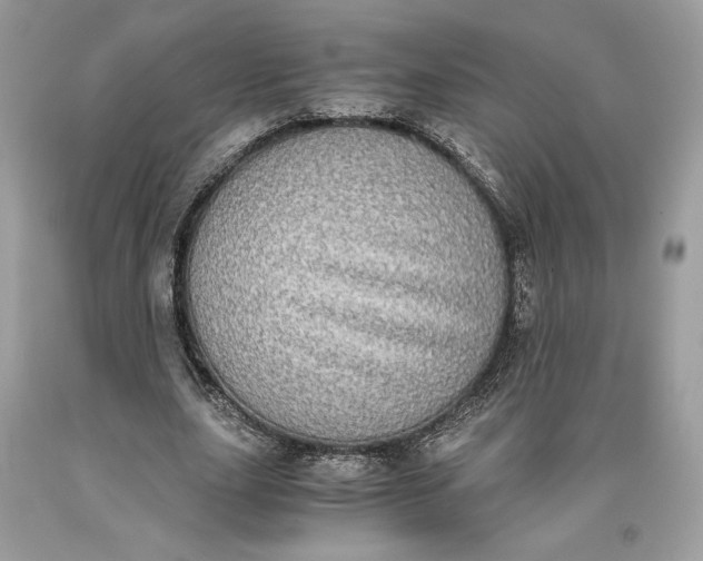 X0000093460631200710261021