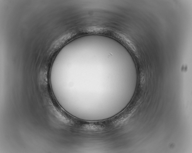 X0000093460633200710261021