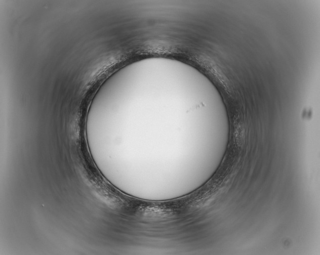 X0000093460635200710261021