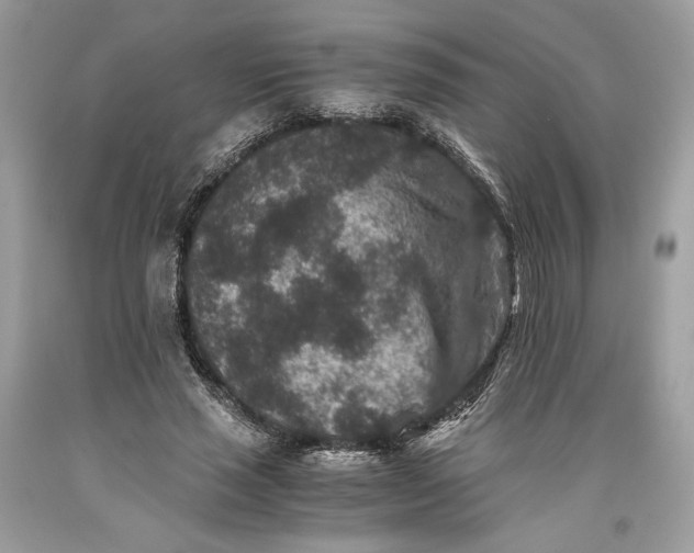 X0000093460637200710261021