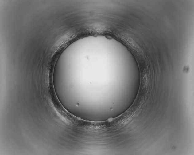 X0000093460638200710261021