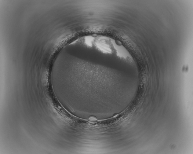 X0000093460640200710261021