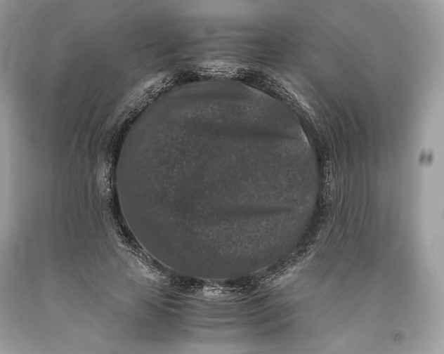 X0000093460641200710261021