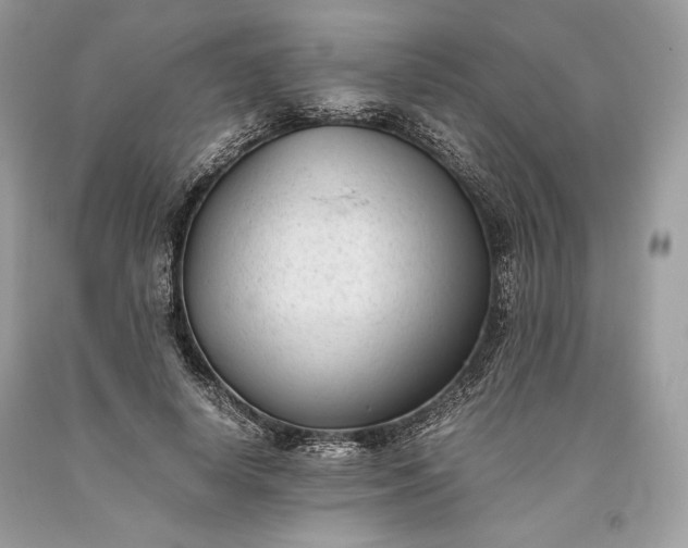 X0000093460642200710261021