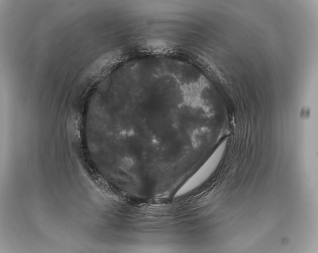 X0000093460643200710261021