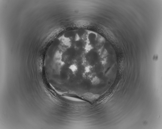 X0000093460644200710261021