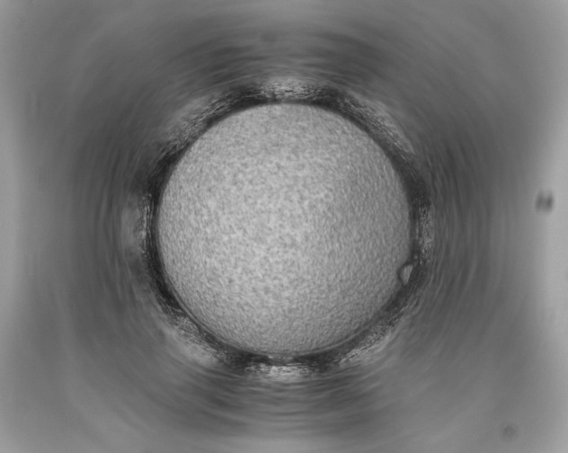 X0000093460645200710261021