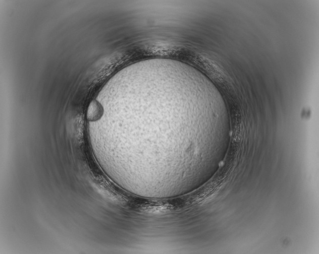 X0000093460646200710261021