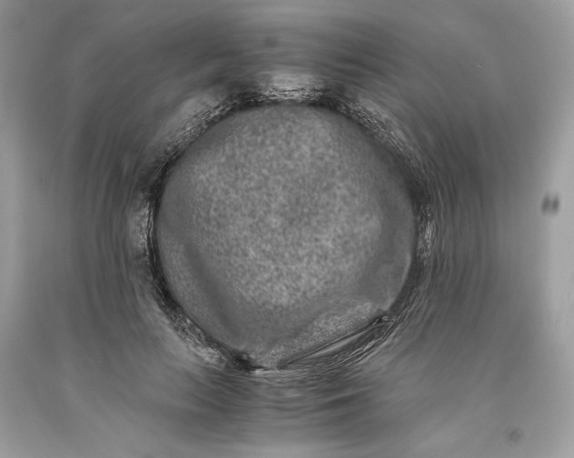 X0000093460647200710261021