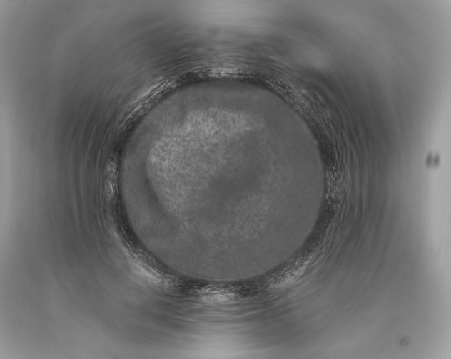 X0000093460648200710261021