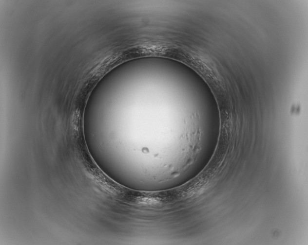 X0000093460649200710261021