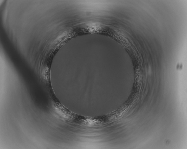 X0000093460650200710261021