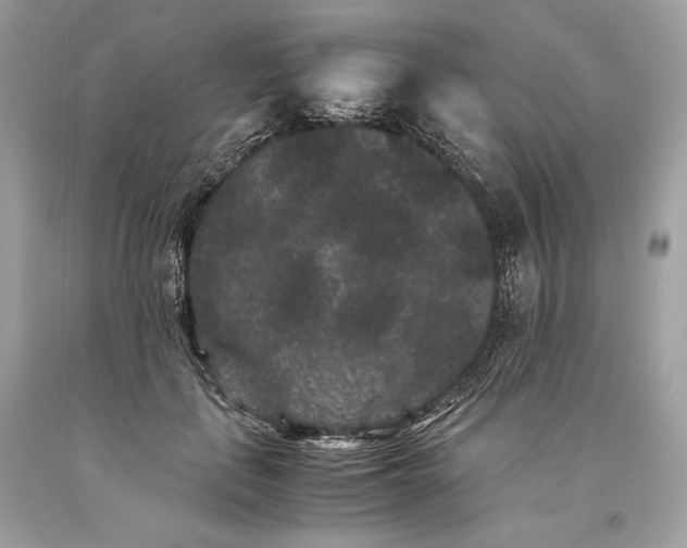 X0000093460651200710261021