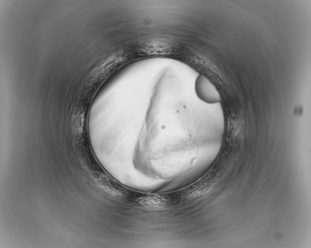 X0000093460652200710261021