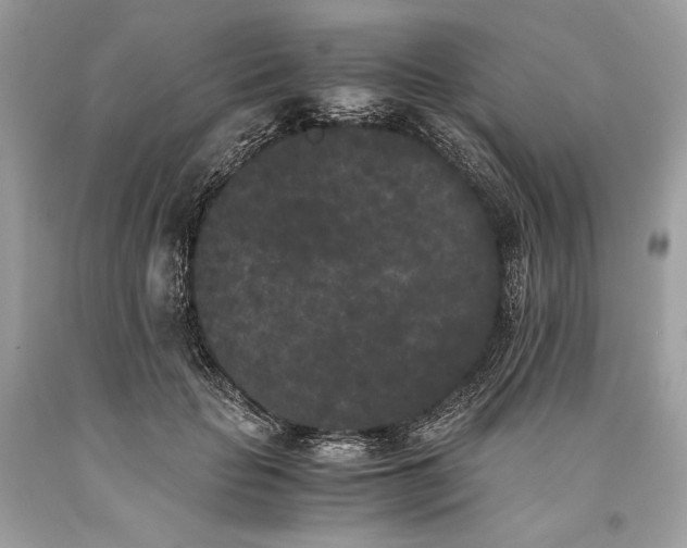 X0000093460653200710261021